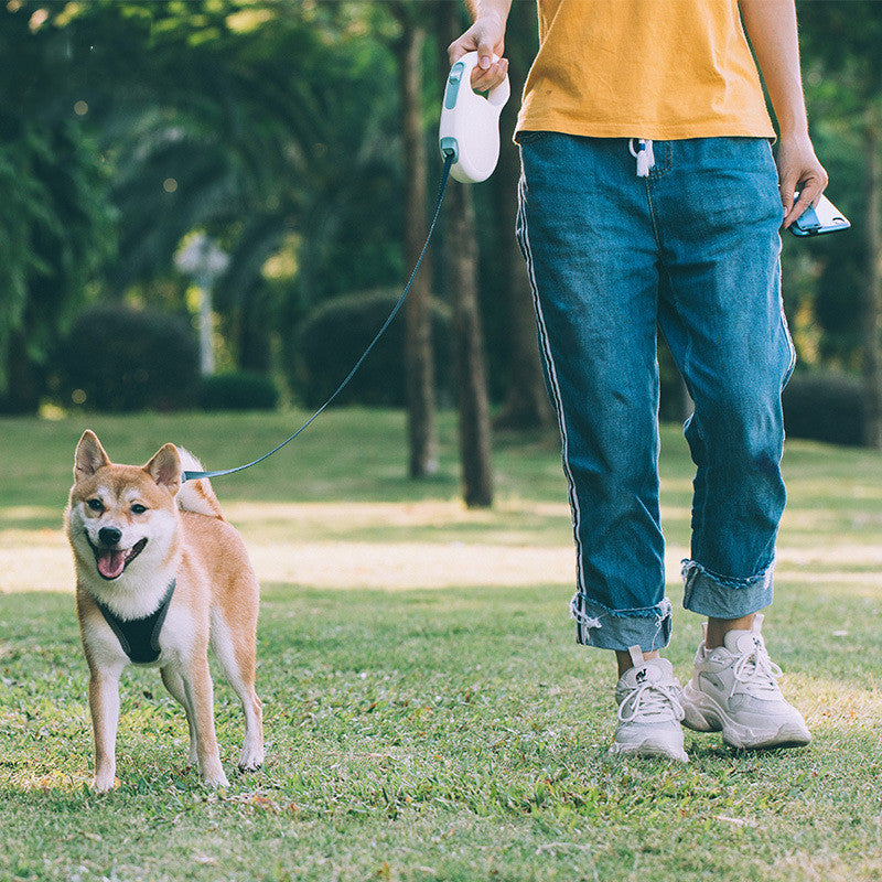 Pet Retractable Leash For Small, Medium And Large Dogs