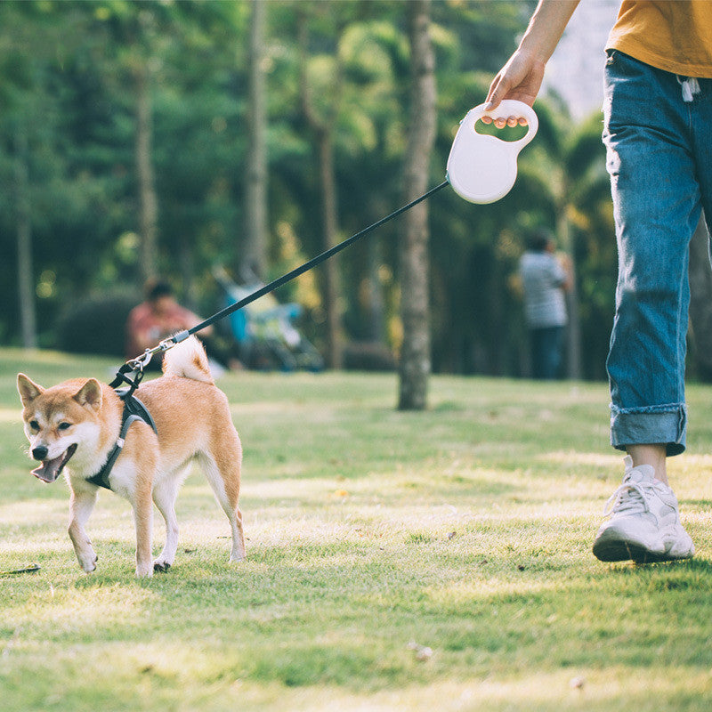 Pet Retractable Leash For Small, Medium And Large Dogs